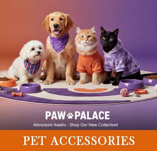 Pet Accessories